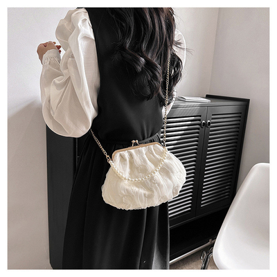 2024 NEW RETRO FAIRY SOLID COLOR kleine zak witte handtas parel zak dames net garens in eenvoudige crossbody tas