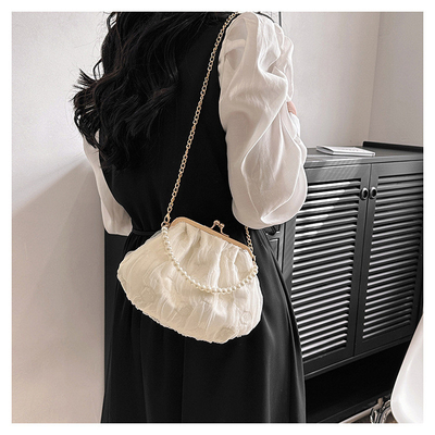 2024 NEW RETRO FAIRY SOLID COLOR kleine zak witte handtas parel zak dames net garens in eenvoudige crossbody tas