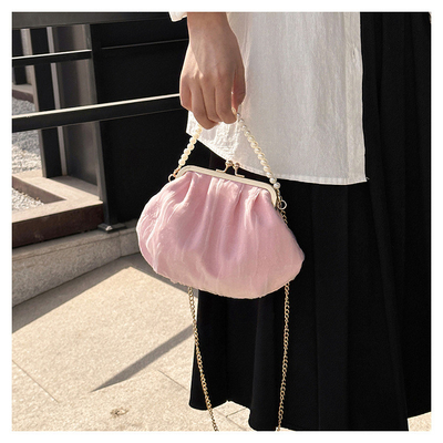 2024 NEW RETRO FAIRY SOLID COLOR kleine zak witte handtas parel zak dames net garens in eenvoudige crossbody tas
