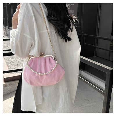 2024 NEW RETRO FAIRY SOLID COLOR kleine zak witte handtas parel zak dames net garens in eenvoudige crossbody tas