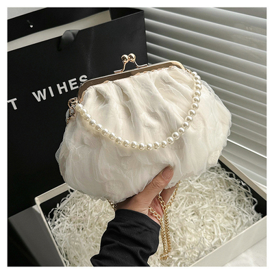 2024 NEW RETRO FAIRY SOLID COLOR kleine zak witte handtas parel zak dames net garens in eenvoudige crossbody tas