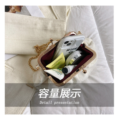 2024 NEW RETRO FAIRY SOLID COLOR kleine zak witte handtas parel zak dames net garens in eenvoudige crossbody tas