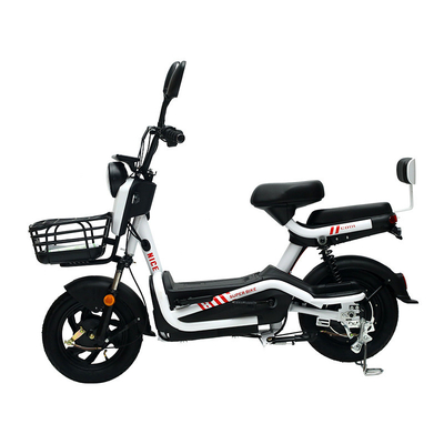 ELECTRISCH VEHIJL MET FARBORATOREN Sleutel Twee personen ELECTRISCH fiets Nieuw accu auto