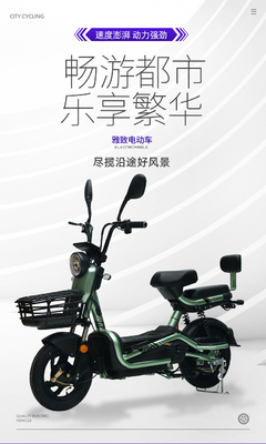 ELECTRISCH VEHIJL MET FARBORATOREN Sleutel Twee personen ELECTRISCH fiets Nieuw accu auto