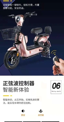 ELECTRICHE VEHIJLEN NEUWE NATIONALE STANDARD ELECTRICHE VEHIJLEN EXPORT MODE draagbare draagbare elektrische fiets