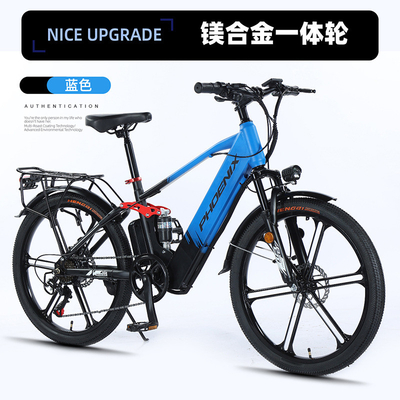 ELECTRISCH NEUW ELECTRISCH Fiets VOLKENFIET RETRO Off-road Variabele snelheidsverhoger ELECTRISCH fiets