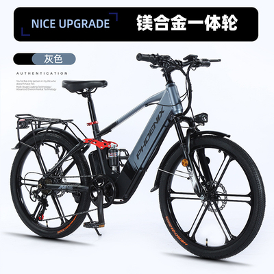 ELECTRISCH NEUW ELECTRISCH Fiets VOLKENFIET RETRO Off-road Variabele snelheidsverhoger ELECTRISCH fiets