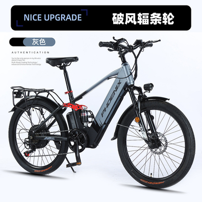 ELECTRISCH NEUW ELECTRISCH Fiets VOLKENFIET RETRO Off-road Variabele snelheidsverhoger ELECTRISCH fiets
