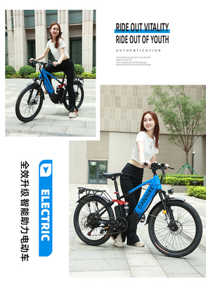 ELECTRISCH NEUW ELECTRISCH Fiets VOLKENFIET RETRO Off-road Variabele snelheidsverhoger ELECTRISCH fiets
