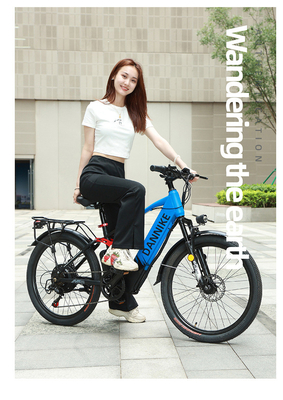 ELECTRISCH NEUW ELECTRISCH Fiets VOLKENFIET RETRO Off-road Variabele snelheidsverhoger ELECTRISCH fiets