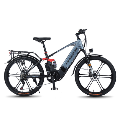 ELECTRISCH NEUW ELECTRISCH Fiets VOLKENFIET RETRO Off-road Variabele snelheidsverhoger ELECTRISCH fiets