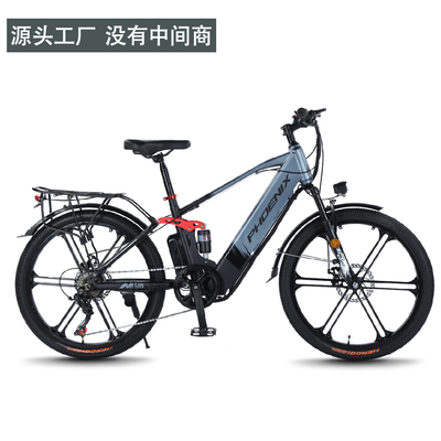ELECTRISCH NEUW ELECTRISCH Fiets VOLKENFIET RETRO Off-road Variabele snelheidsverhoger ELECTRISCH fiets