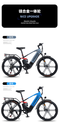ELECTRISCH NEUW ELECTRISCH Fiets VOLKENFIET RETRO Off-road Variabele snelheidsverhoger ELECTRISCH fiets