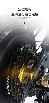 ELECTRISCH NEUW ELECTRISCH Fiets VOLKENFIET RETRO Off-road Variabele snelheidsverhoger ELECTRISCH fiets