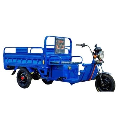 ELECTRISCH TRICYCLE vrachtwagen lading WANG NEUWE NATIONAL STANDARD ELECTRISCH CAR EXPRESS CAR STALL TRICYCLE landbouwvoertuig GRATIS