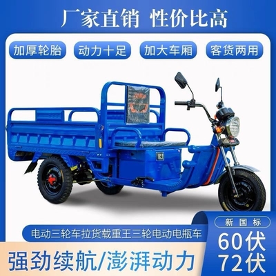 ELECTRISCH TRICYCLE vrachtwagen lading WANG NEUWE NATIONAL STANDARD ELECTRISCH CAR EXPRESS CAR STALL TRICYCLE landbouwvoertuig GRATIS