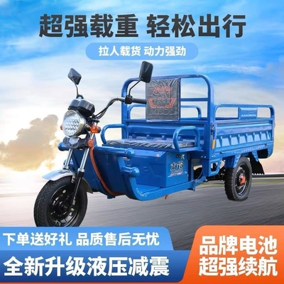 ELECTRISCH TRICYCLE vrachtwagen lading WANG NEUWE NATIONAL STANDARD ELECTRISCH CAR EXPRESS CAR STALL TRICYCLE landbouwvoertuig GRATIS