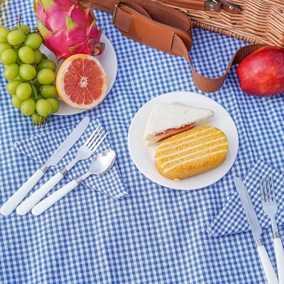 Wicker picknickmand met deksel en handvat Robuust geweven lichaam met wasbare voering voor Pasen, Moedersdag, buitenkamperen