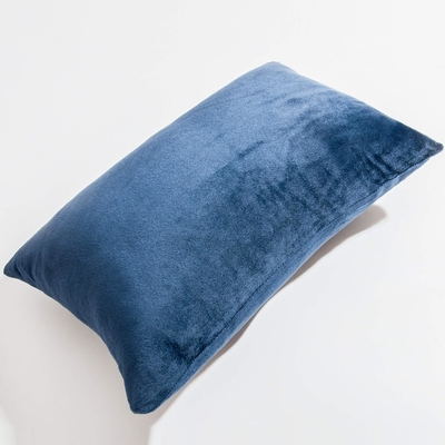 NTBAY 2 Pack Zippered Velvet King kussens, superzacht en gezellig Luxe Fuzzy Flannel kussens met Zipper, 20x36