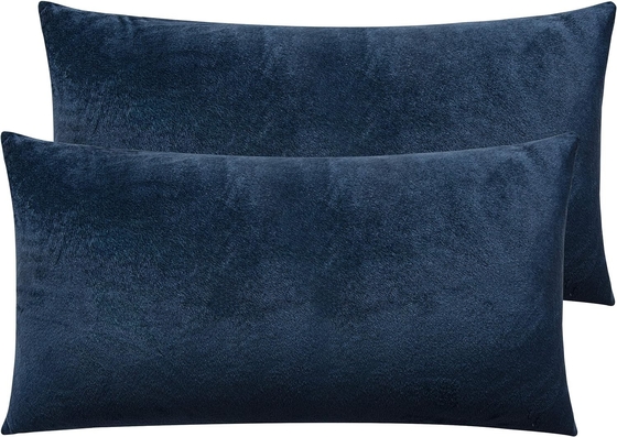 NTBAY 2 Pack Zippered Velvet King kussens, superzacht en gezellig Luxe Fuzzy Flannel kussens met Zipper, 20x36