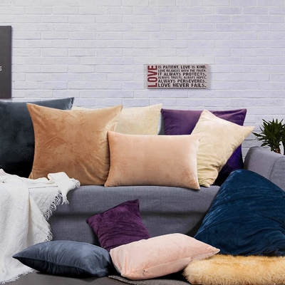NTBAY 2 Pack Zippered Velvet King kussens, superzacht en gezellig Luxe Fuzzy Flannel kussens met Zipper, 20x36