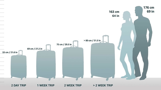 Centrische harde uitbreidbare bagage met spinners, blauwblauw, gemiddeld 24-inch