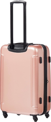 Moonlight Hardside uitbreidbare bagage met spinner wielen, rozen goud, gecontroleerde medium 24-inch
