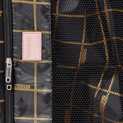 Moonlight Hardside uitbreidbare bagage met spinner wielen, rozen goud, gecontroleerde medium 24-inch