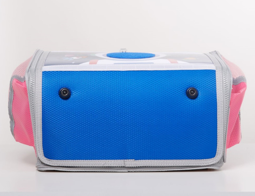 De afneembare Plastic van de de Polyesterrugzak van de Uitwisselingsritssluiting 600D Schooltassen van EVA DIY voor Chilrden
